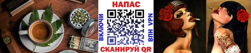 Canna-Cookies марихуана  цена   Павловск 