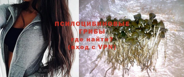 spice Беломорск