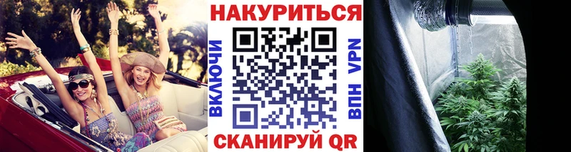 МЕГА вход  продажа наркотиков  маркетплейс телеграм  Шишки марихуана конопля  Павловск 